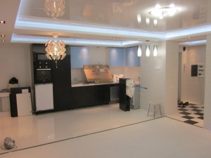 flatvrn01-img_4756